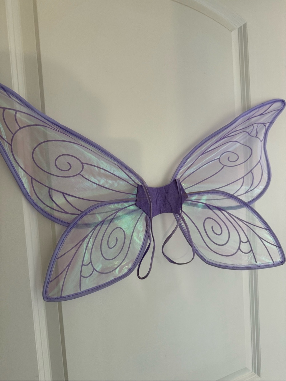 Halloween Costume Butterfly Wings
